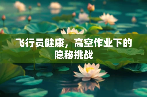飞行员健康，高空作业下的隐秘挑战