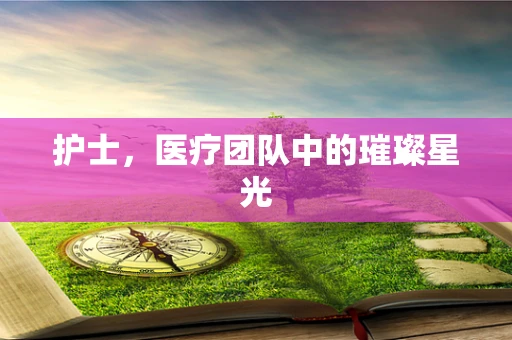 护士，医疗团队中的璀璨星光