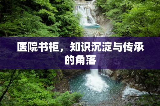 医院书柜，知识沉淀与传承的角落