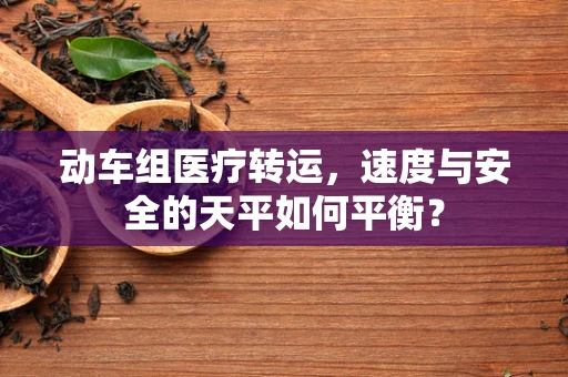 动车组医疗转运，速度与安全的天平如何平衡？