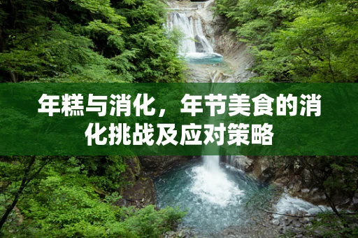 年糕与消化，年节美食的消化挑战及应对策略