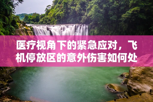 医疗视角下的紧急应对，飞机停放区的意外伤害如何处理？