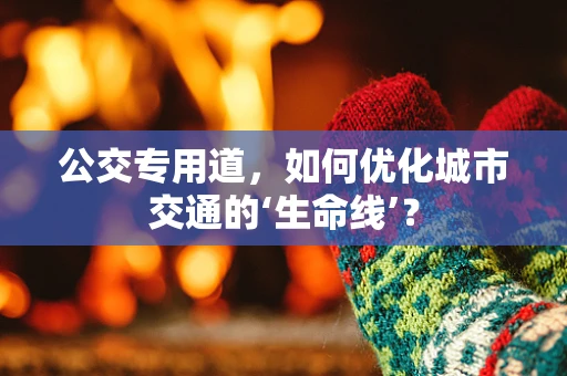 公交专用道，如何优化城市交通的‘生命线’？