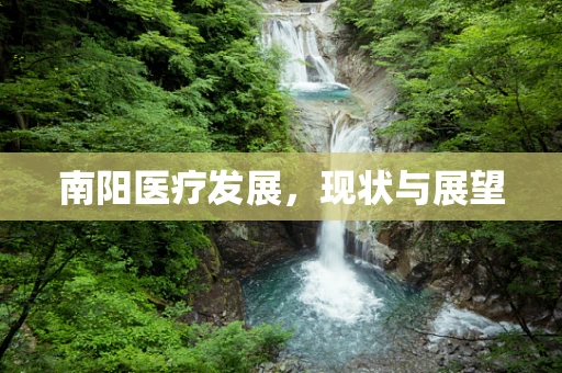 南阳医疗发展，现状与展望