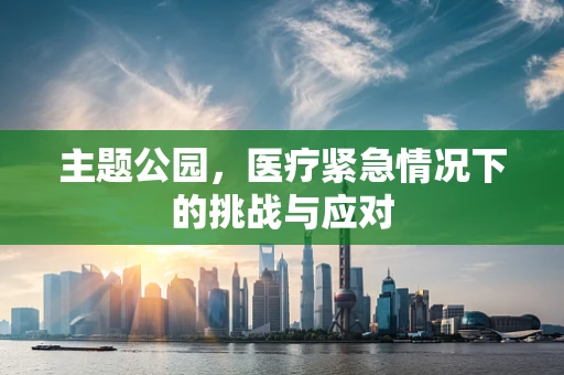 主题公园，医疗紧急情况下的挑战与应对