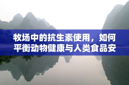 牧场中的抗生素使用，如何平衡动物健康与人类食品安全？