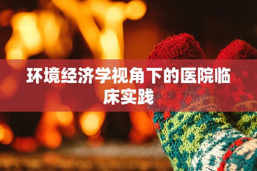 环境经济学视角下的医院临床实践
