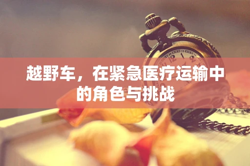 越野车，在紧急医疗运输中的角色与挑战
