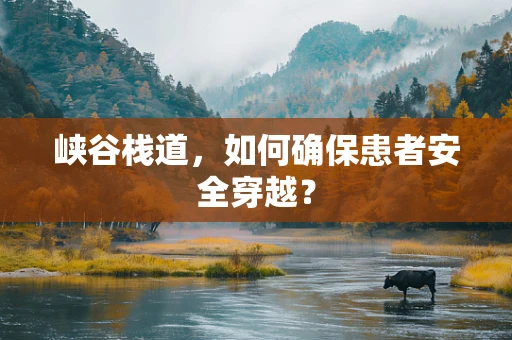 峡谷栈道，如何确保患者安全穿越？