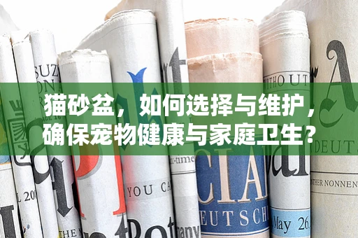 猫砂盆，如何选择与维护，确保宠物健康与家庭卫生？