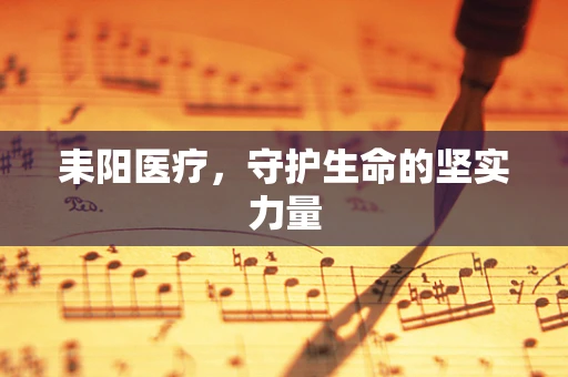 耒阳医疗，守护生命的坚实力量