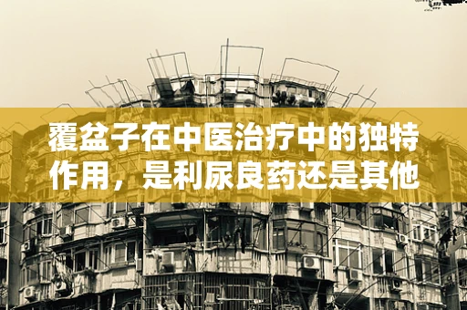 覆盆子在中医治疗中的独特作用，是利尿良药还是其他？