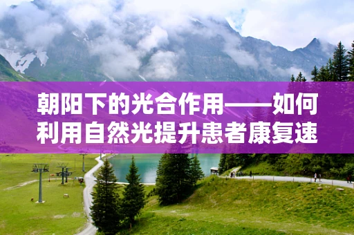 朝阳下的光合作用——如何利用自然光提升患者康复速度？