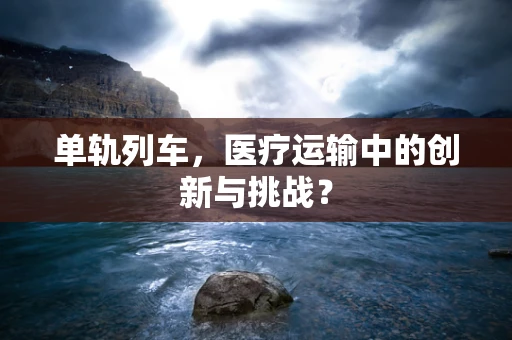 单轨列车，医疗运输中的创新与挑战？