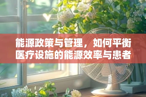 能源政策与管理，如何平衡医疗设施的能源效率与患者安全？