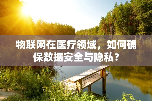 物联网在医疗领域，如何确保数据安全与隐私？