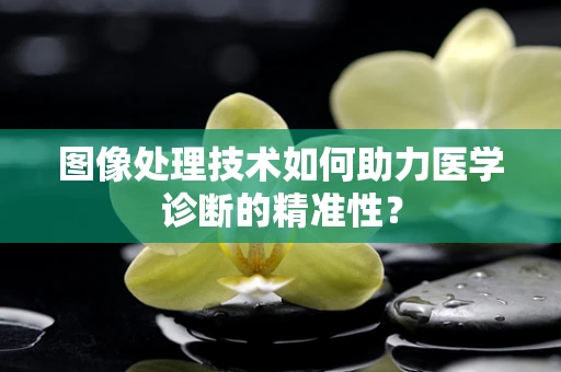 图像处理技术如何助力医学诊断的精准性？